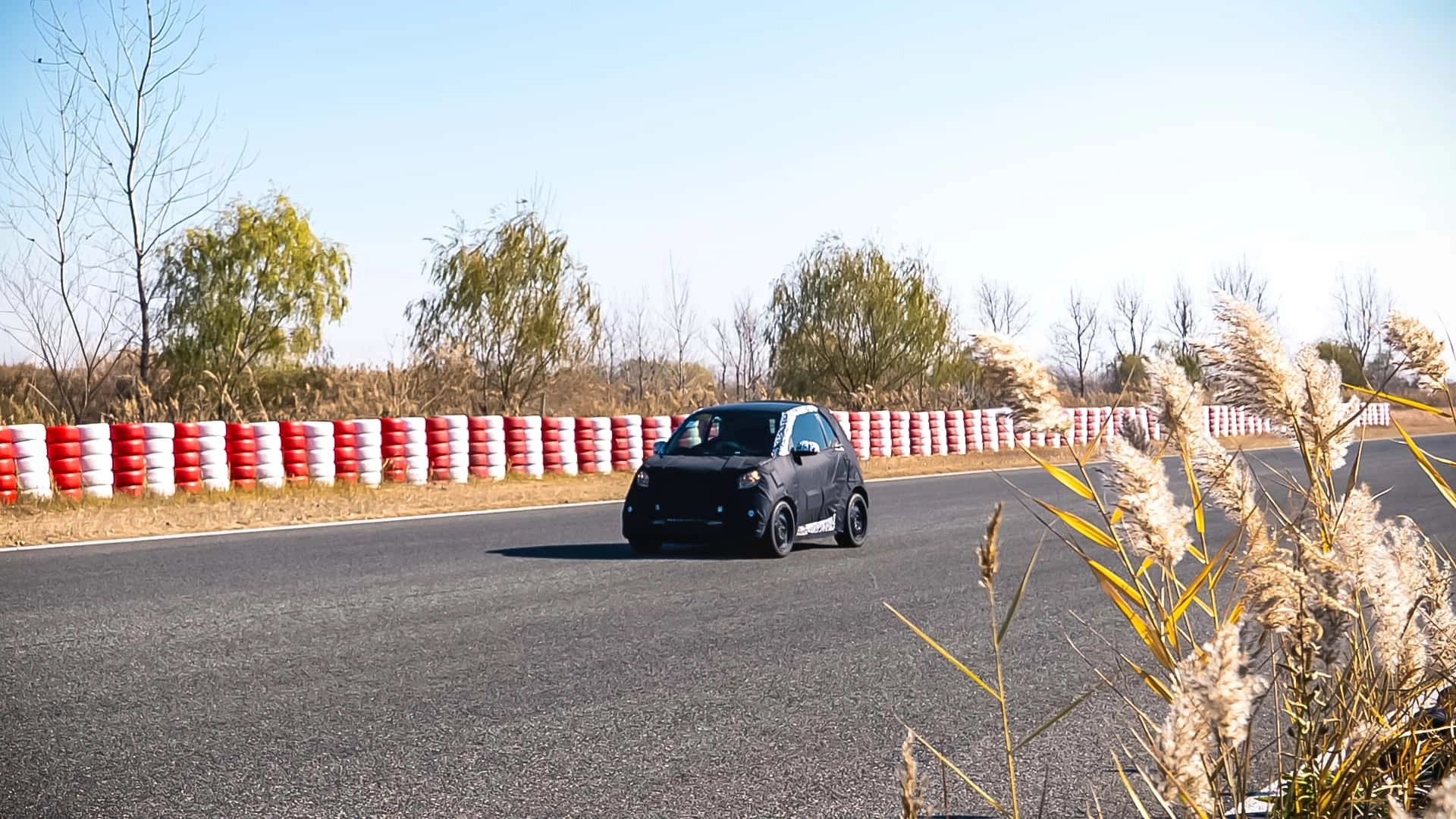 Smart fortwo alias 2 2026 erprobung (6)